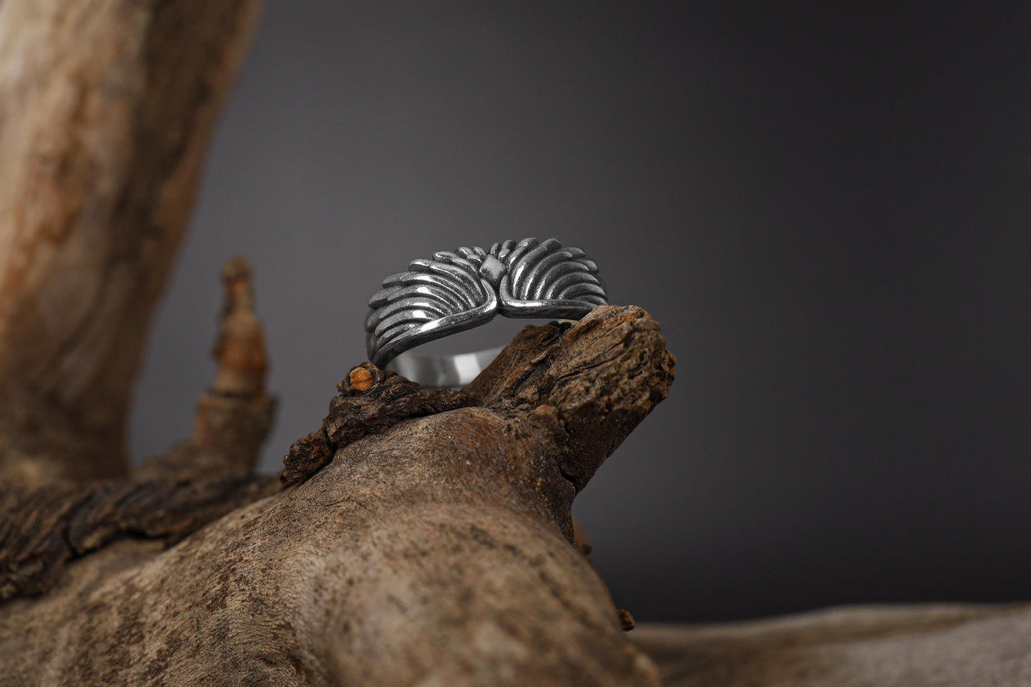 Sterling Silver Wings Band Ring: Symbolic Angelic Unisex Statement Jewelry