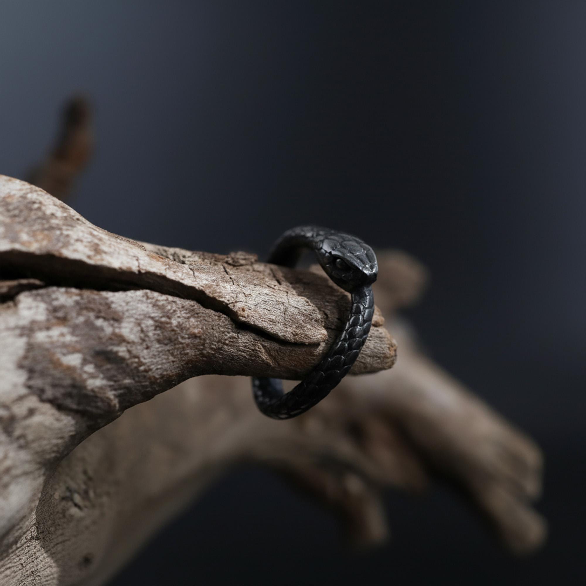 Rhodium Plated Ouroboros Snake Ring | Serpent Eternity Symbol Band, Rebirth Jewelry