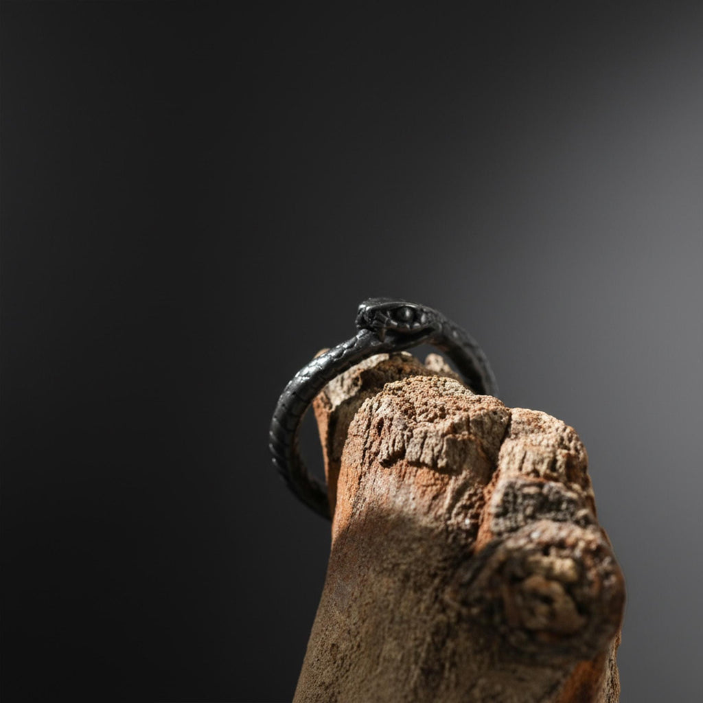 Rhodium Plated Ouroboros Snake Ring | Serpent Eternity Symbol Band, Rebirth Jewelry