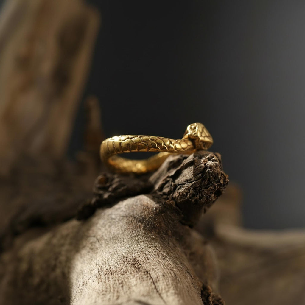 Rhodium Plated Ouroboros Snake Ring | Serpent Eternity Symbol Band, Rebirth Jewelry