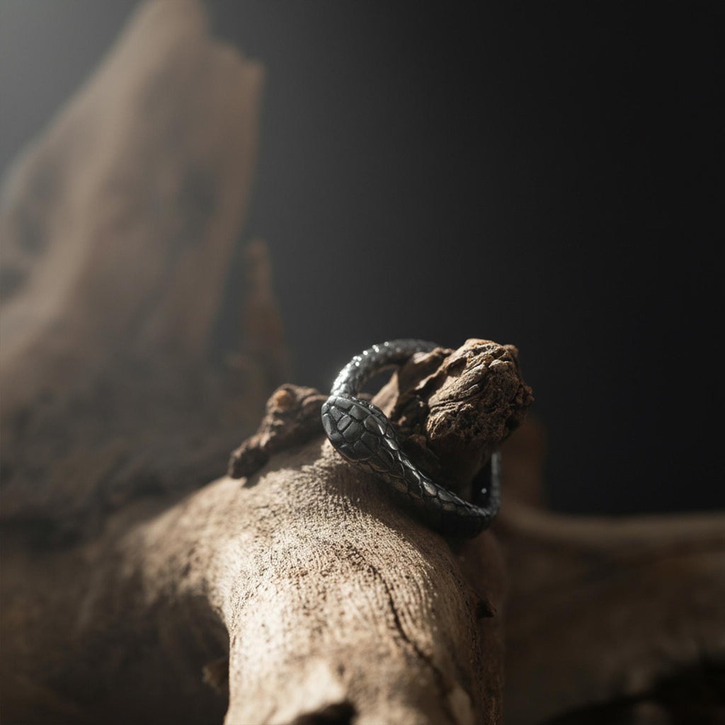 Rhodium Plated Ouroboros Snake Ring | Serpent Eternity Symbol Band, Rebirth Jewelry
