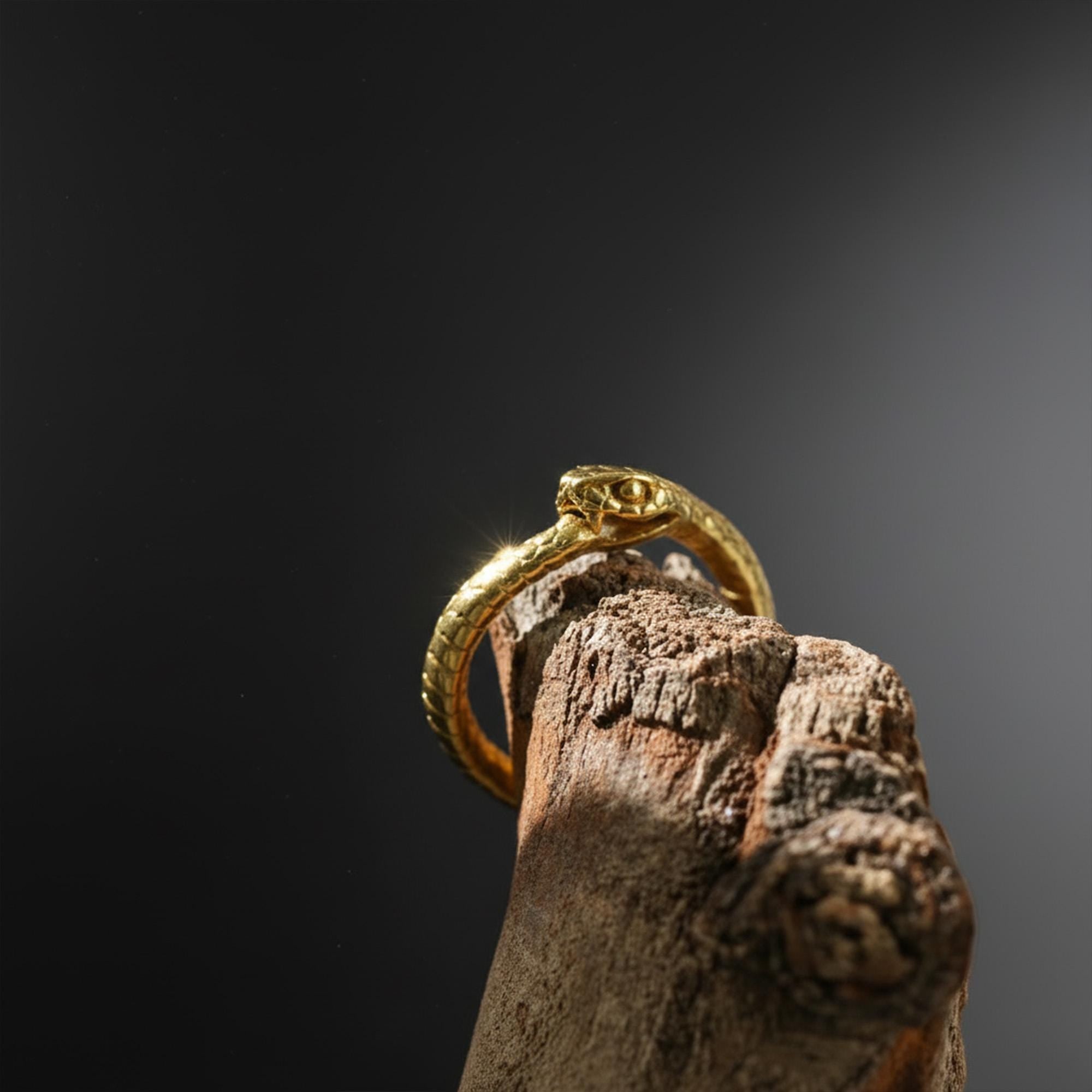 Rhodium Plated Ouroboros Snake Ring | Serpent Eternity Symbol Band, Rebirth Jewelry