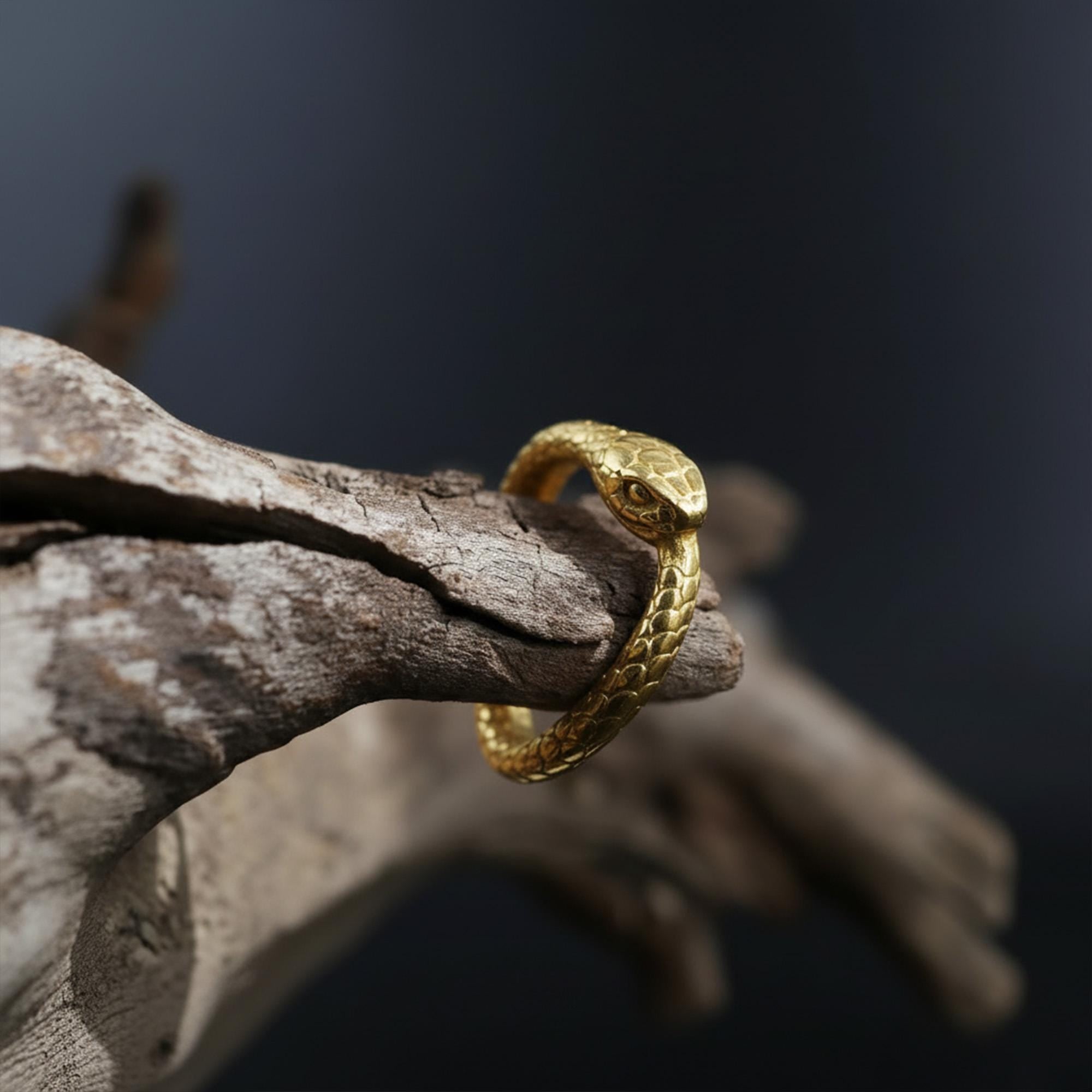 Rhodium Plated Ouroboros Snake Ring | Serpent Eternity Symbol Band, Rebirth Jewelry